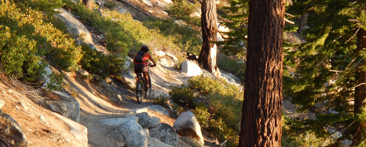 Judit riding down