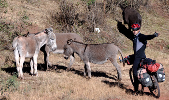 Cèsar meeting friends