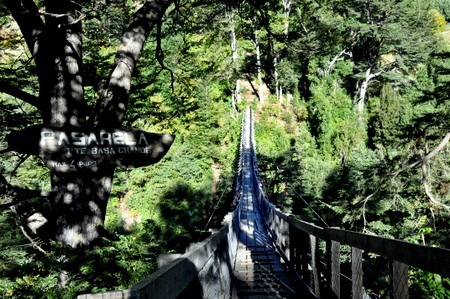 Hanging bridge