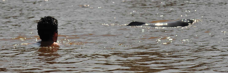 Cèsar swimming with pink dolphins