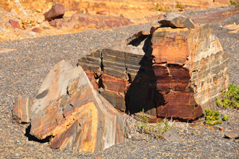 Rocas multicolor